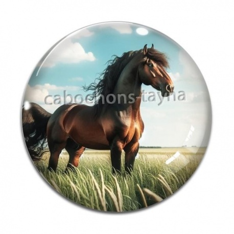 Cabochon Verre - cheval