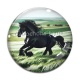 Cabochon Verre - cheval