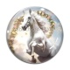 Cabochon Verre - cheval
