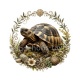 tortue de terre