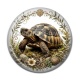 Cabochon Résine - tortue de terre