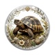 Cabochon Verre - tortue de terre