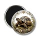 Magnet's - tortue de terre
