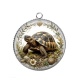 Pendentif Cabochon Argent - tortue de terre