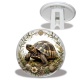 Trépied - tortue de terre
