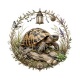  tortue de terre
