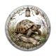 Cabochon Résine -  tortue de terre
