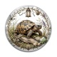 Cabochon Verre -  tortue de terre
