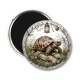 Magnet's -  tortue de terre
