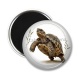Magnet's - tortue de terre