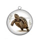Pendentif Cabochon Argent - tortue de terre