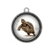 Pendentif Cabochon Argent - tortue de terre