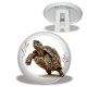 Trépied - tortue de terre
