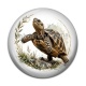 Cabochon Résine - tortue de terre