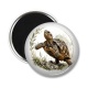 Magnet's - tortue de terre