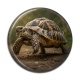 Cabochon Résine - tortue de terre