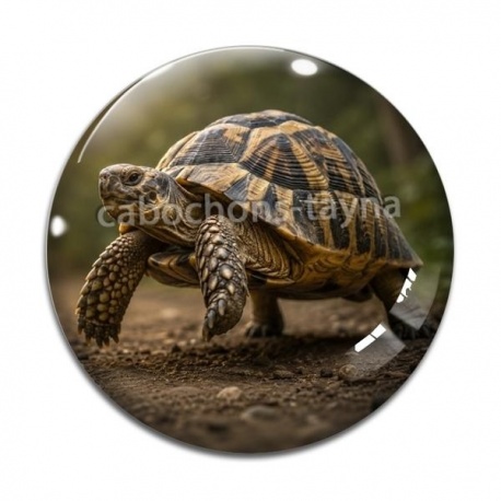 Cabochon Verre - tortue de terre