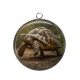 Pendentif Cabochon Argent - tortue de terre