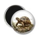 Magnet's - tortue de terre