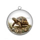 Pendentif Cabochon Argent - tortue de terre