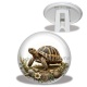 Trépied - tortue de terre