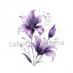 fleur exotique