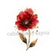 coquelicot