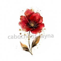 coquelicot