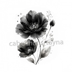 coquelicot