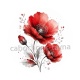 coquelicot