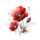 coquelicot