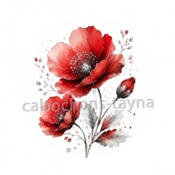 coquelicot