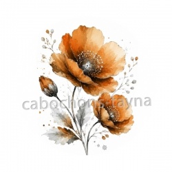 coquelicot