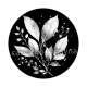 feuille 