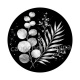feuille 