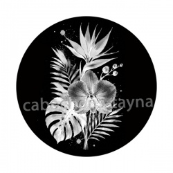 fleur exotique 
