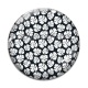 Cabochon Verre - feuille exotique 