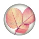 feuille 