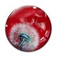 Cabochon Verre - pissenlit