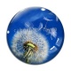 Cabochon Verre - pissenlit