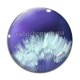 Cabochon Verre - pissenlit