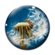 Cabochon Verre - pissenlit