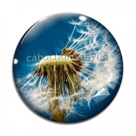 Cabochon Verre - pissenlit