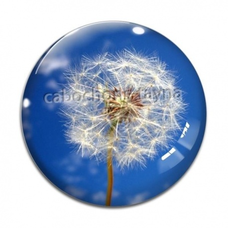 Cabochon Verre - pissenlit