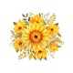 tournesol