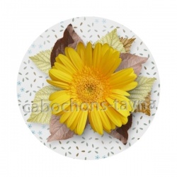 tournesol