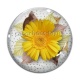 Cabochon Verre - tournesol