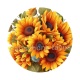 tournesol