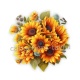 tournesol