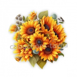 tournesol